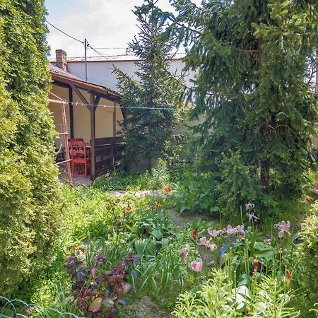 Apartamento Old House Vama Veche Exterior foto