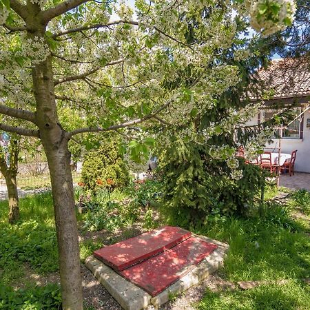 Apartamento Old House Vama Veche Exterior foto