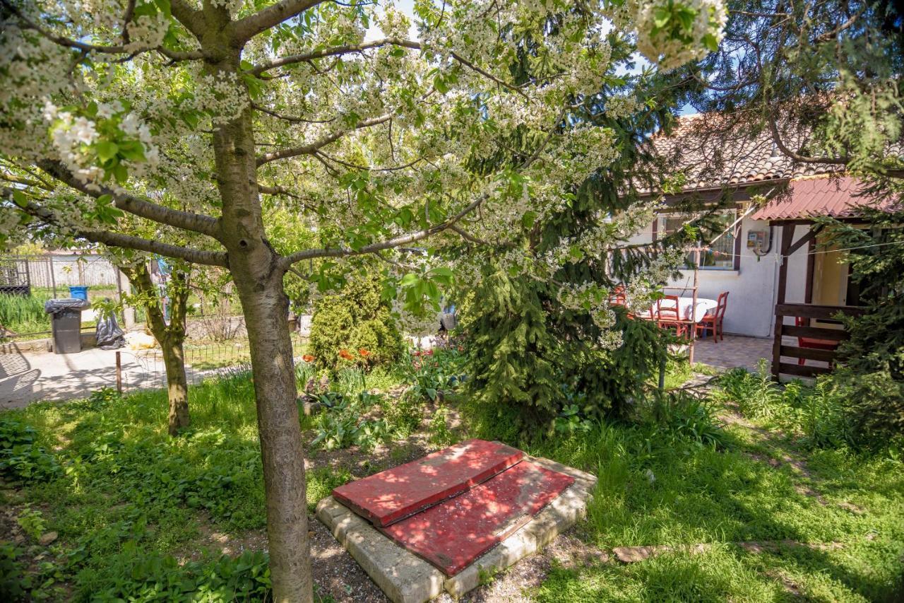 Apartamento Old House Vama Veche Exterior foto