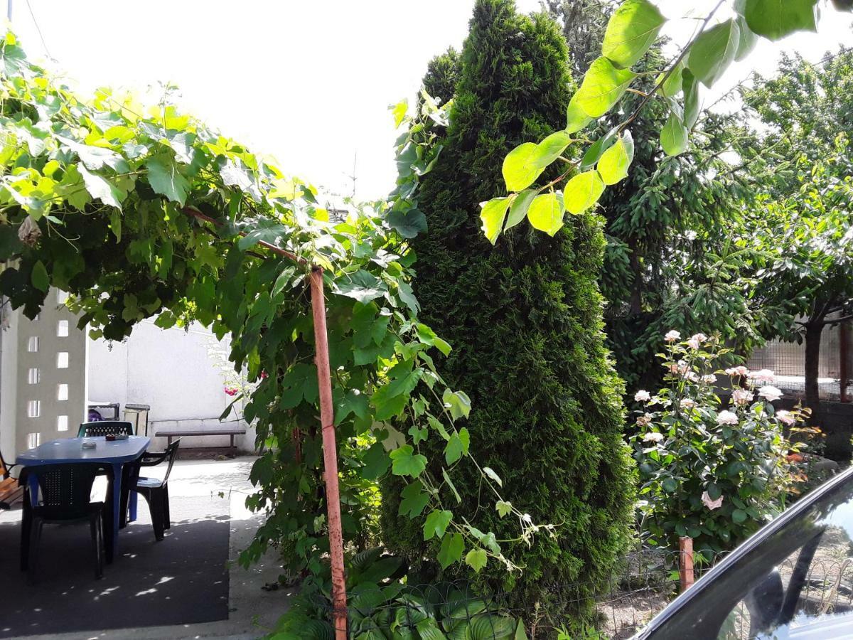 Apartamento Old House Vama Veche Exterior foto